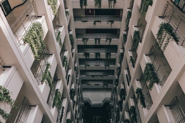 2023年属猴人运势怎样 桃花运旺 业绩可观