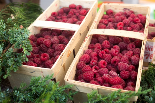 属虎的相冲相克属相 相克如何化解