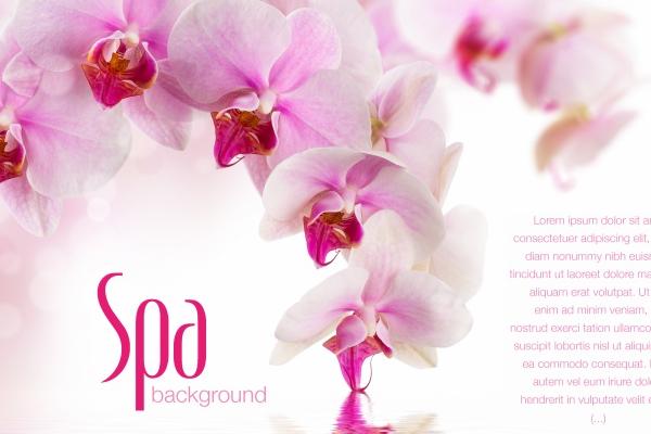 虎年生人2023年运势及运程 生肖属虎运势详解