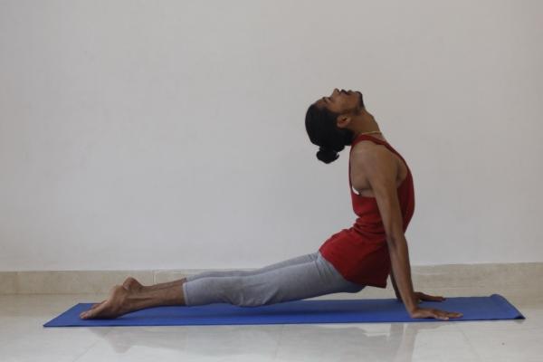 属兔2023年运气好不好,运势情况如何