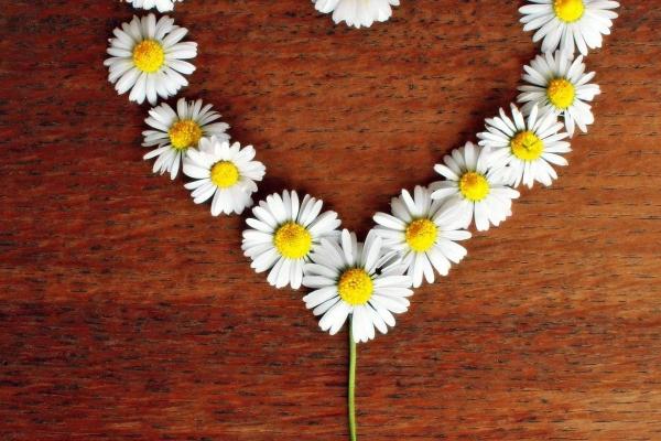 属马和属龙的合不合财运 都想主导各有心思