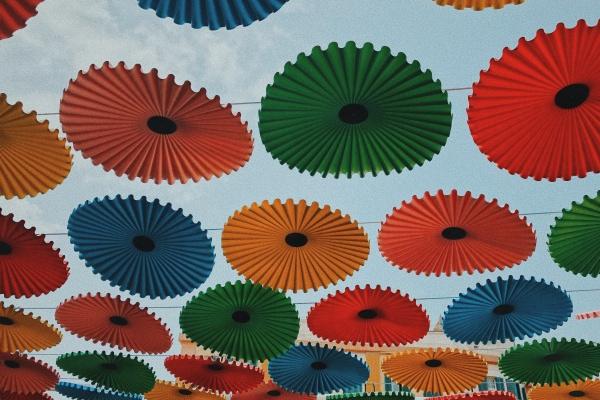 66年的属马女过了60岁依靠谁,属马女的晚年依靠