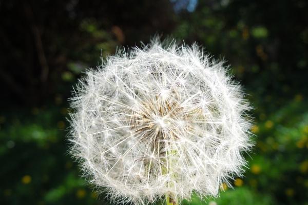 属羊男和属马女婚姻好吗 怎样才能和谐稳定幸福