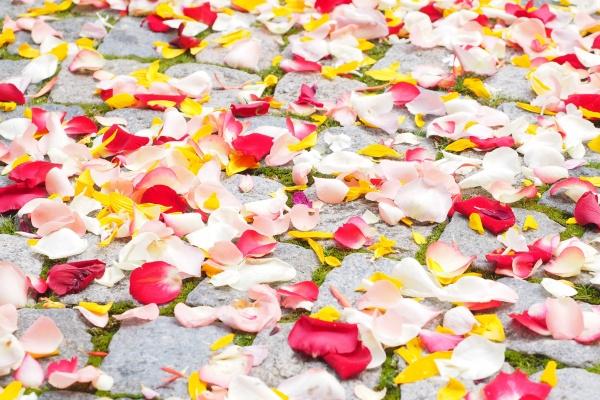 生理需求强烈的生肖女 分别都是谁