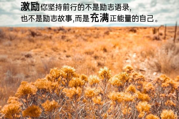 第一运程 2023年6月17日十二生肖运势解析