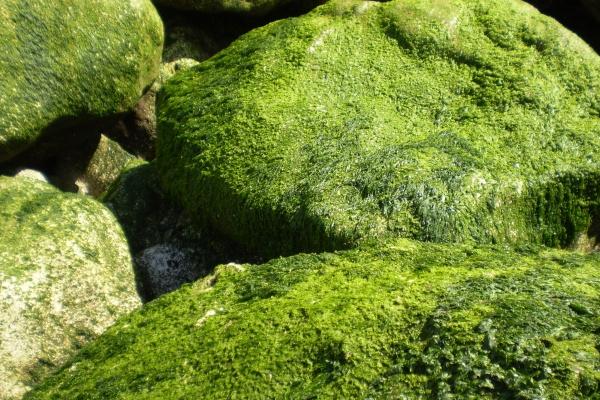 第一运程 2023年十二生肖周运6.19-6.25