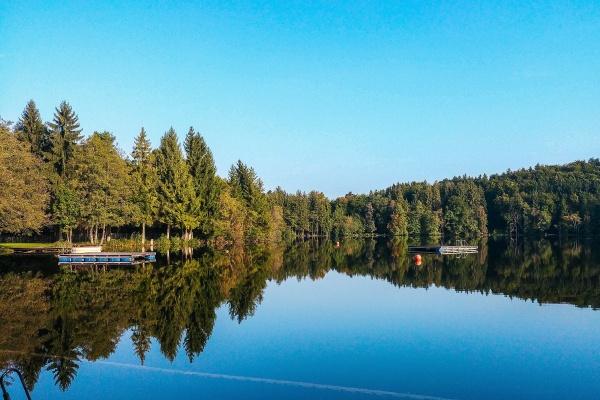 福气好又幸福的生肖女,猪女乖巧温柔,猴女开朗热情