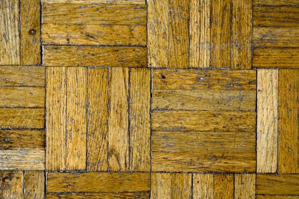 属龙男和什么属相最配 优势互补共同成长属鼠女