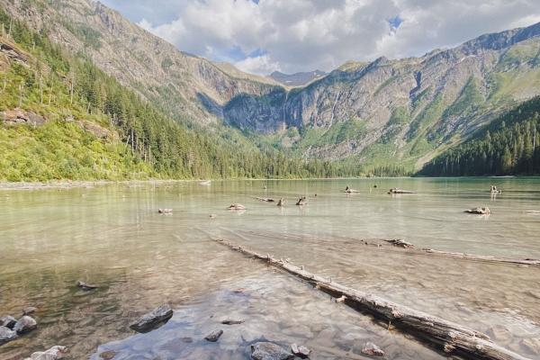 老虎和老鼠合不合母子 十分的不合怎么办
