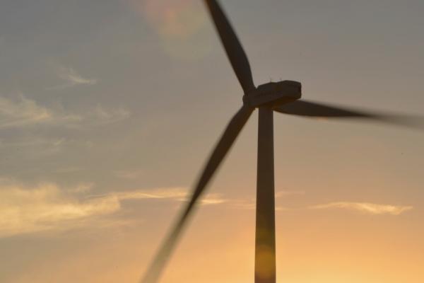 女蛇男鼠的姻缘怎么样 性格相似理想组合