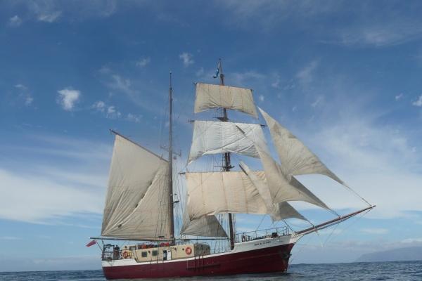 1977属蛇一生最旺颜色,属蛇的幸运颜色是什么