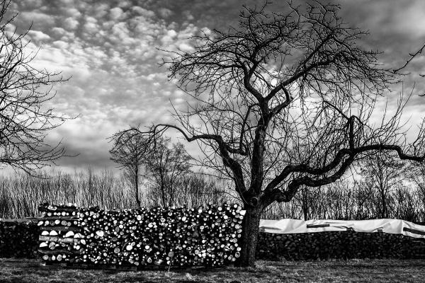 龙和兔合不合兄弟姐妹 对谁更不利