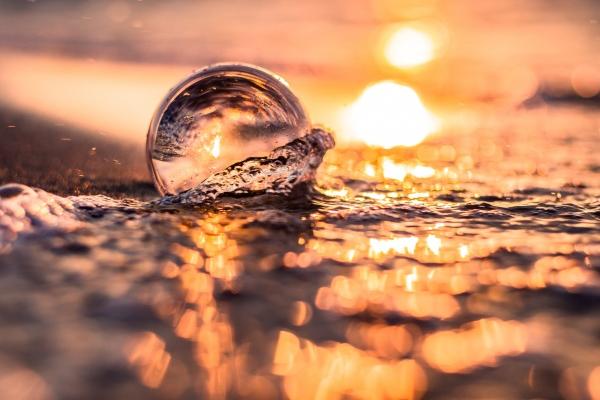 属狗和属鼠的婚姻合不合 相互匹配未来美好