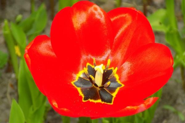 几月出生的猴是烂猴,属猴的什么时候出生命不好