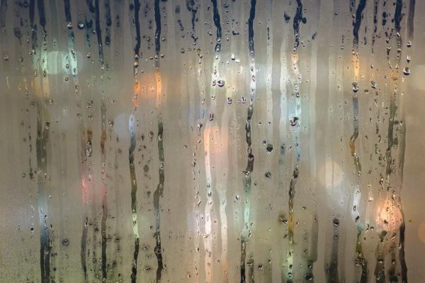 77年蛇晚年凄凉，77年属蛇人晚年运势如何