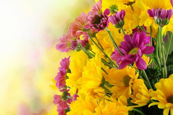 本命年需要一年都穿红内裤吗 为什么要穿红内裤