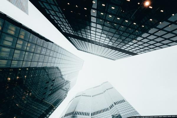 属狗人2023年考试能否顺利 考运爆棚