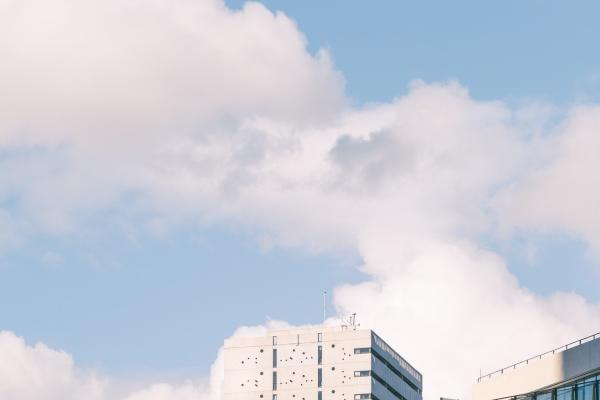 2024年不适合生孩子的属相 有血光的风险