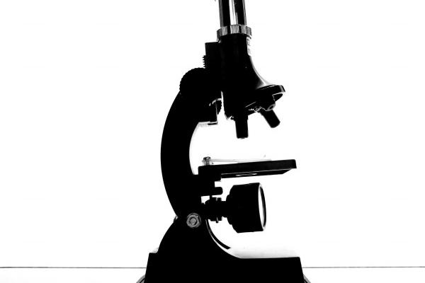 属羊和属狗的结婚真的穷一辈子 属羊和属狗的结婚好吗