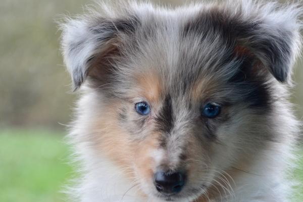 67年属羊56岁会遇上什么灾难,需要注意哪些问题