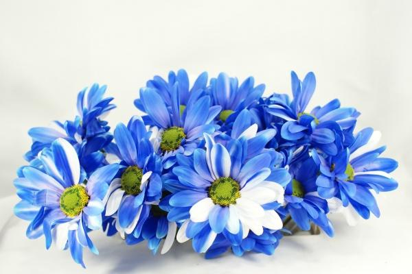 属马78年的2023年运势和财运怎么样，78年属马人今年运势走向分析