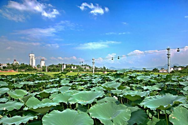 2023属牛财运在哪个方向，哪个方位财运最旺