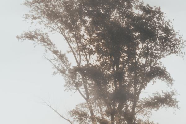 2023年本命年最好的微信头像,属兔本命年用什么头像旺运旺财