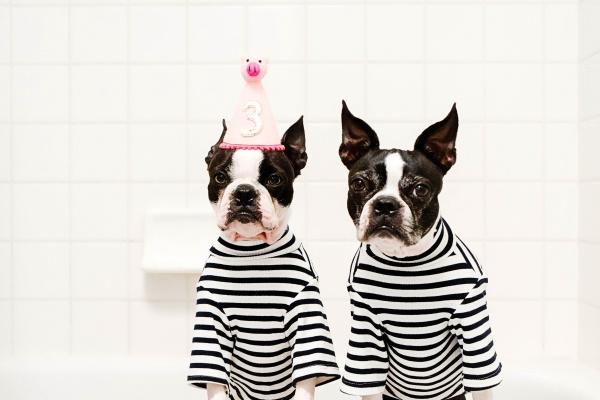 2023年黑兔年双春年结婚好吗 黑兔年结婚好不好