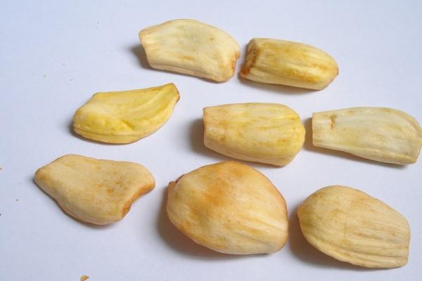 2024年金榜题名的生肖 考试必过