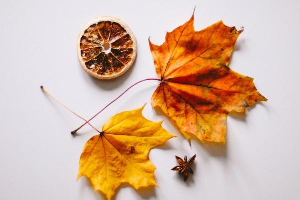 1966年属马人的2023年健康情况啥样，如何提升健康运势