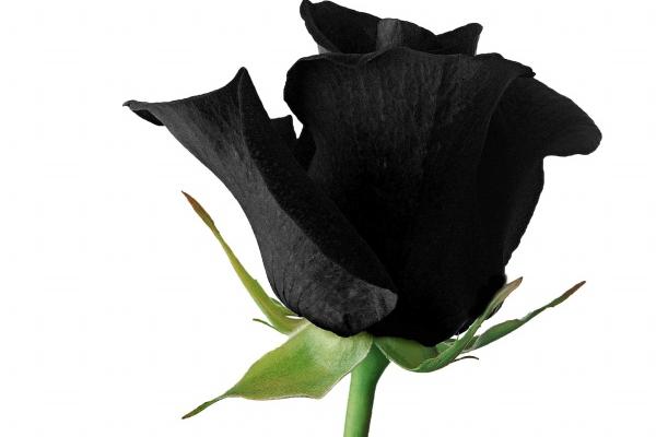 91羊女2023年婚姻有结果吗,91年属羊女2023年婚姻运