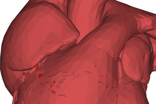 猪猴不到头的破解方法 破解不合的三个技巧