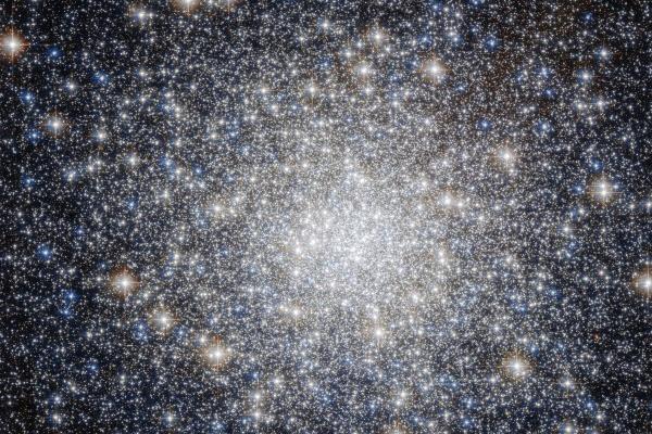 属龙人要小心属蛇人 属相相冲性格差异