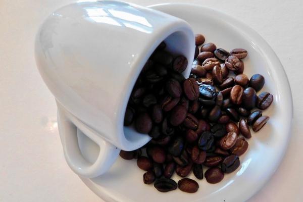 属龙的女和属蛇的男相配吗 感情稳健和长久