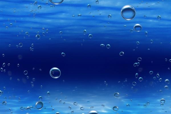 2023年秋分属什么 生肖冲什么