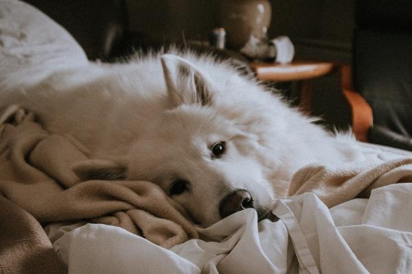 2023年兔本命年考试 学业运不错