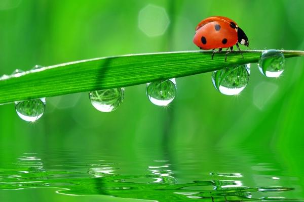 2023属鼠财运在哪个方位最好 属鼠人2023年财运如何