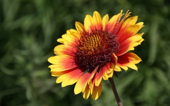 本命年要穿什么颜色的衣服 红色吉祥幸福