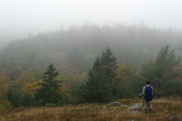 2023年10月偏财运最好的生肖 生肖鼠稳居第一