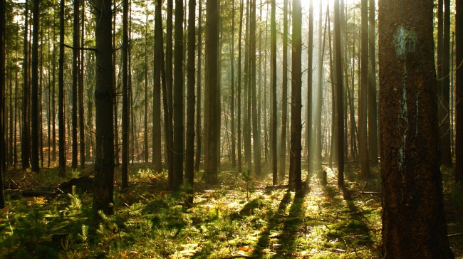 2024年最容易出轨的三大生肖 天生花心多情