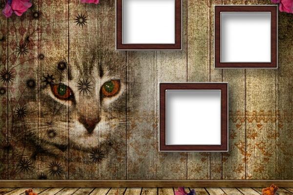 属蛇2023年戴什么首饰运气好,属蛇人2023年的吉祥饰品