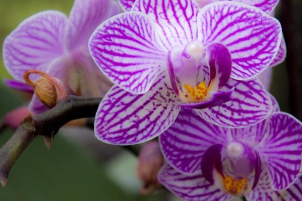 本命年的幸运数字 本命年代表什么数字