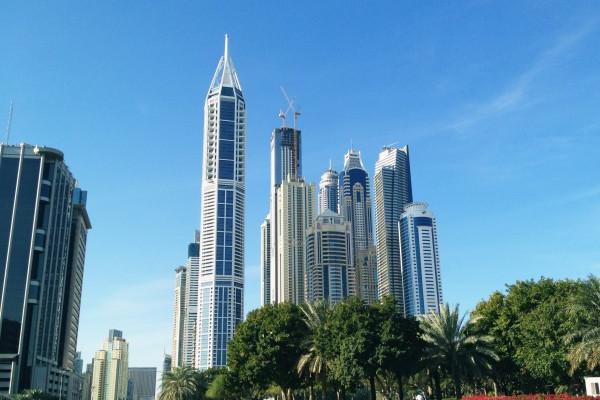 属兔的生在几月好 宝宝几月出生好命