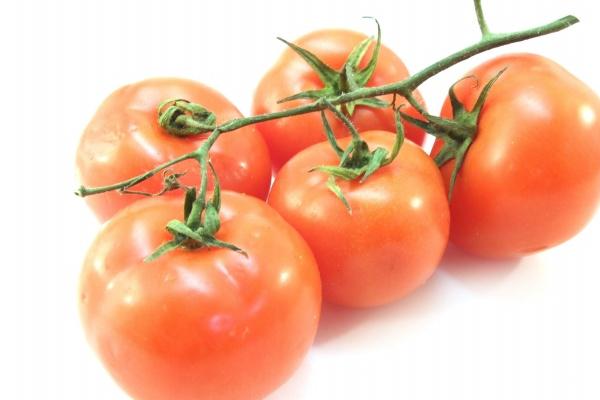 属羊男和属马女相配吗婚姻 能够建立幸福的婚姻关系