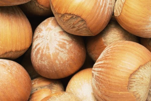 2001年属蛇女正缘在什么时候，属蛇的正缘是谁