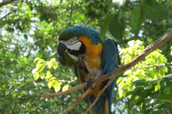 2023年黑兔年适合结婚吗 有什么说法