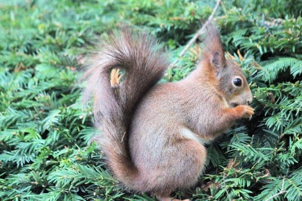 属兔人要珍惜的2个人,属兔人一辈子离不开的2个人