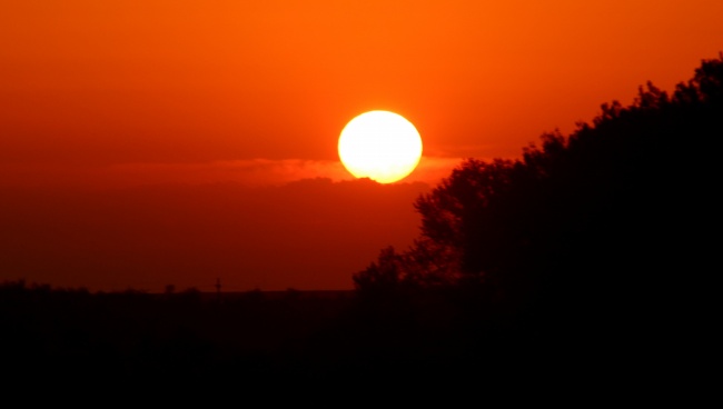 属羊的和属狗的结婚好不好 相互理解和包容能长久