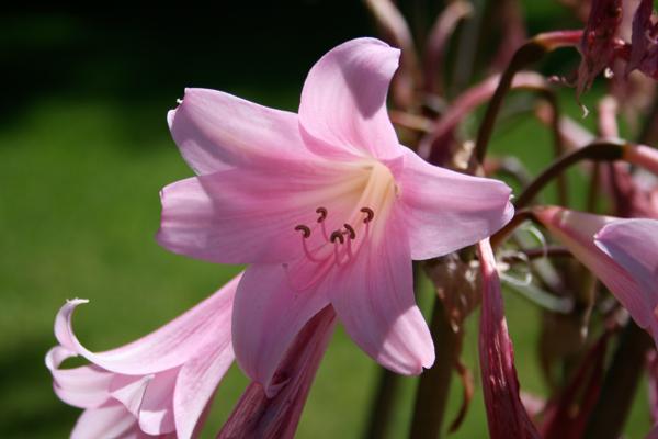 62年属虎最佳手机号码 属虎人的大吉号码