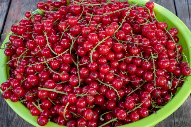 属鼠的财神爷摆放位置，财神摆放哪里最好